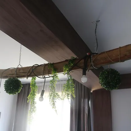 Villa дружинци *