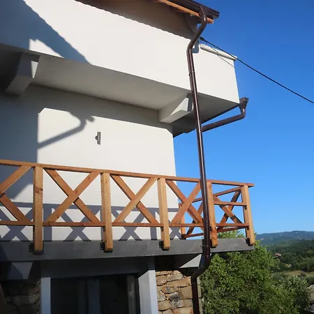 дружинци * Druzhintsi