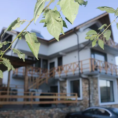 Villa дружинци *