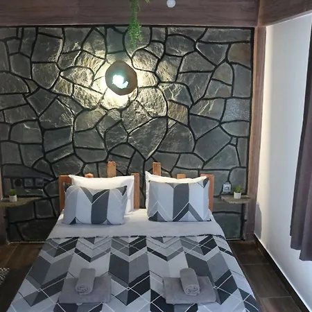 дружинци Villa *