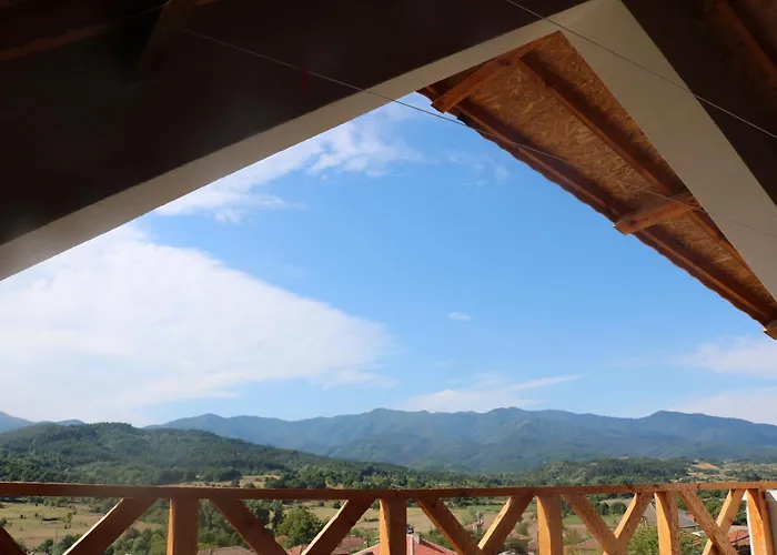 Villa дружинци