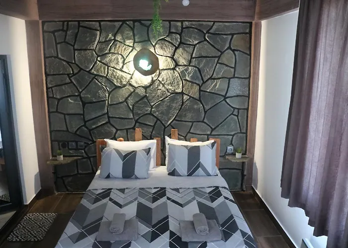 дружинци Villa *